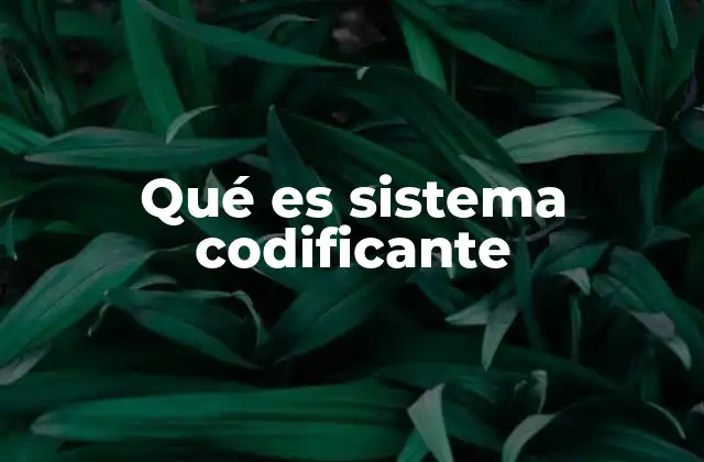 Qué es Sistema Codificante