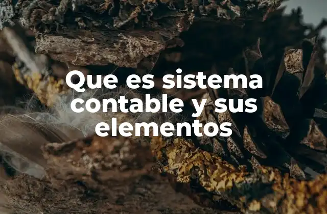 Que es Sistema Contable y Sus Elementos