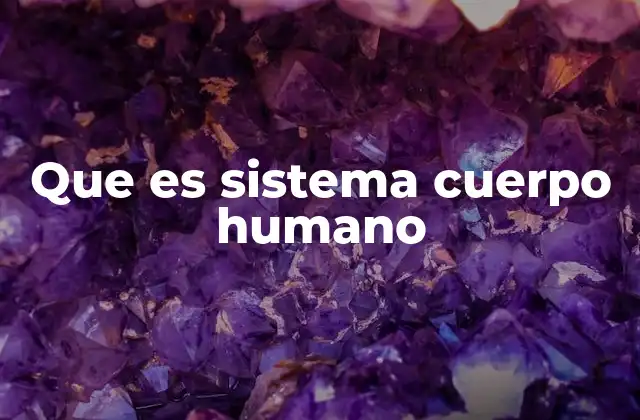 Que es Sistema Cuerpo Humano