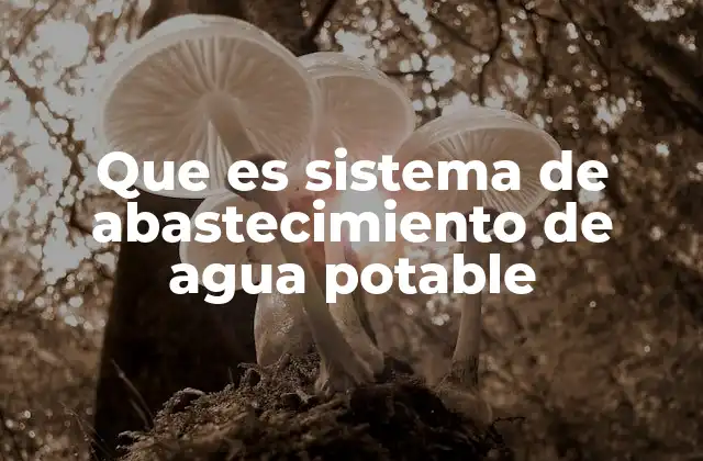 Que es Sistema de Abastecimiento de Agua Potable