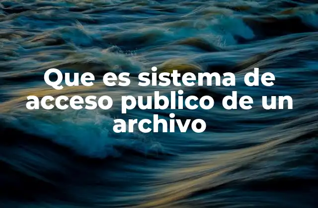 Que es Sistema de Acceso Publico de un Archivo