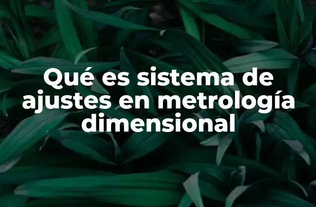 Qué es Sistema de Ajustes en Metrología Dimensional