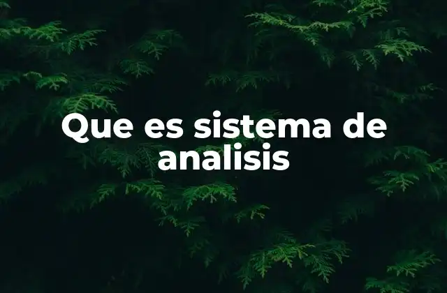 Componentes esenciales de un sistema de análisis