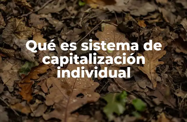 Qué es Sistema de Capitalización Individual