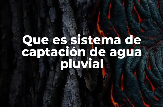 La importancia de aprovechar la lluvia en el contexto urbano