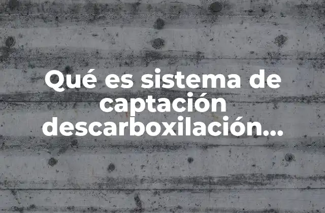Qué es Sistema de Captación Descarboxilación Digestivo