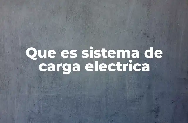 Que es Sistema de Carga Electrica
