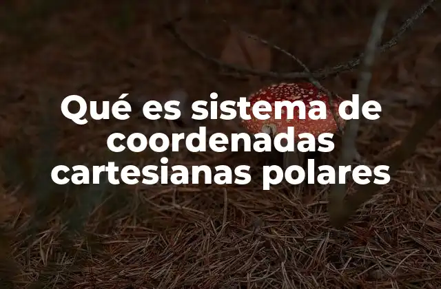 Qué es Sistema de Coordenadas Cartesianas Polares