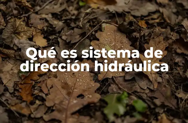 Qué es Sistema de Dirección Hidráulica