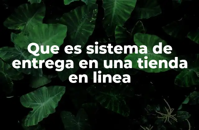La importancia de una logística eficiente en el comercio electrónico