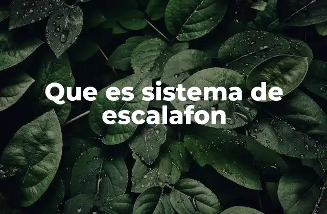 Que es Sistema de Escalafon