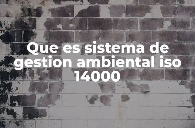 Cómo se relaciona la norma ISO 14000 con la sostenibilidad empresarial
