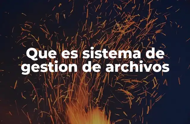 Cómo funciona un sistema de gestión de archivos