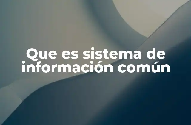Que es Sistema de Información Común