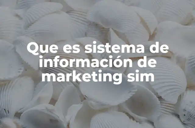 Que es Sistema de Información de Marketing Sim 2 La importancia del sistema de información en el entorno empresarial actual