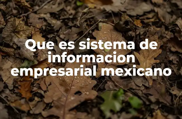 Que es Sistema de Informacion Empresarial Mexicano