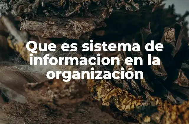 Que es Sistema de Informacion en la Organización