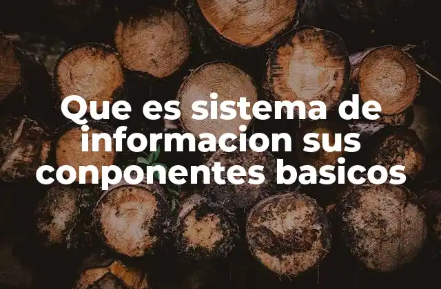 Que es Sistema de Informacion Sus Conponentes Basicos