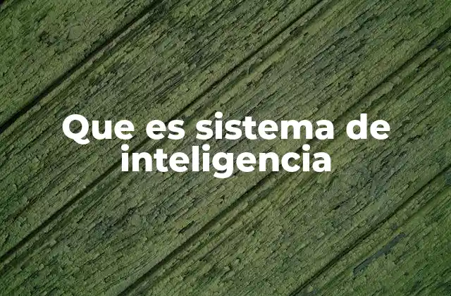 Aplicaciones de los sistemas de inteligencia