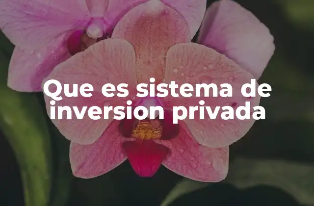 Características de los sistemas de inversión privada