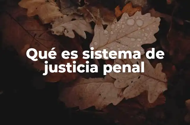 Qué es Sistema de Justicia Penal