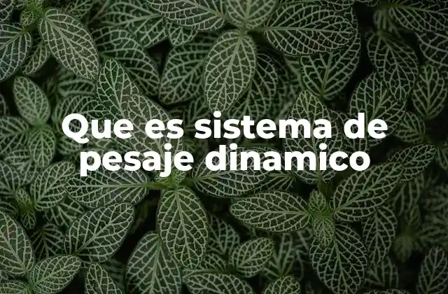 Que es Sistema de Pesaje Dinamico 2 Aplicaciones de los sistemas de pesaje dinámico en la gestión del tráfico