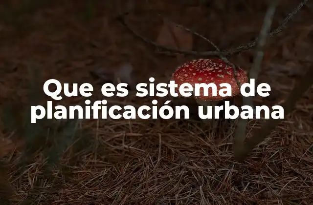 Que es Sistema de Planificación Urbana