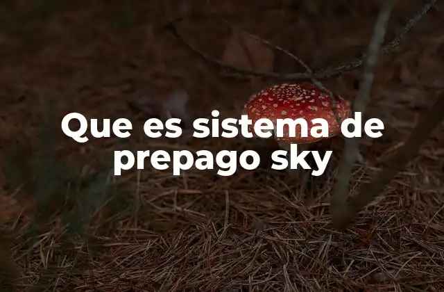 Que es Sistema de Prepago Sky