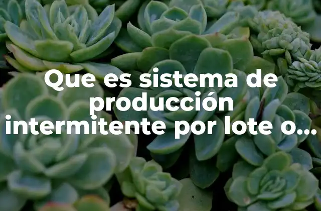 Que es Sistema de Producción Intermitente por Lote o Pedido