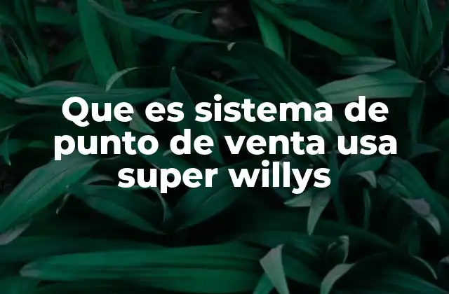 Que es Sistema de Punto de Venta Usa Super Willys