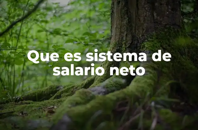 Que es Sistema de Salario Neto