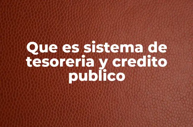 Que es Sistema de Tesoreria y Credito Publico