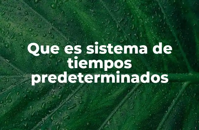 Que es Sistema de Tiempos Predeterminados