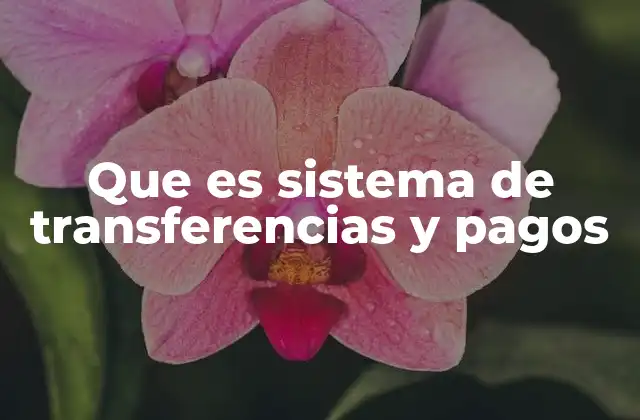Que es Sistema de Transferencias y Pagos