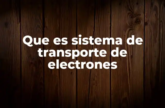 Que es Sistema de Transporte de Electrones 2 Cómo funciona el sistema de transporte de electrones