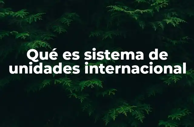 Qué es Sistema de Unidades Internacional