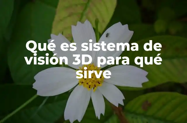 Qué es Sistema de Visión 3d para Qué Sirve