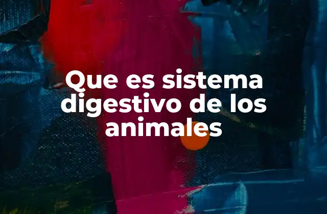 Que es Sistema Digestivo de los Animales