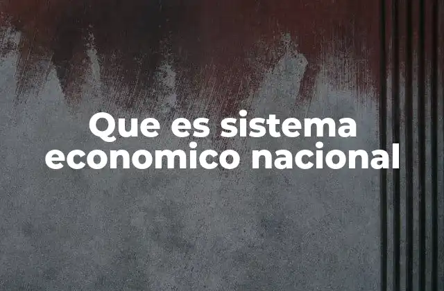 Que es Sistema Economico Nacional