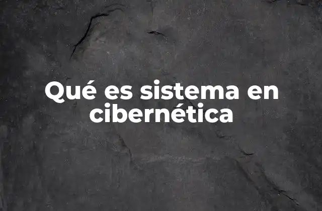Qué es Sistema en Cibernética