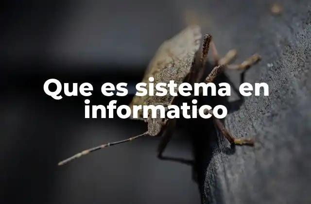 Que es Sistema en Informatico