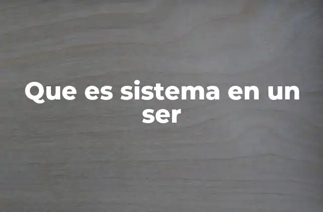 Que es Sistema en un Ser