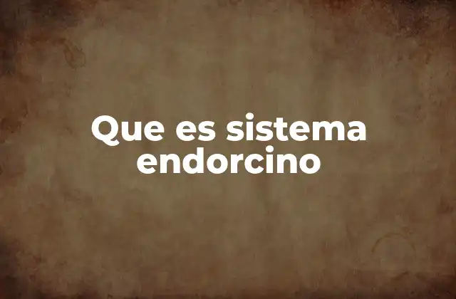 Que es Sistema Endorcino