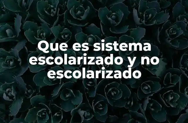 Que es Sistema Escolarizado y No Escolarizado