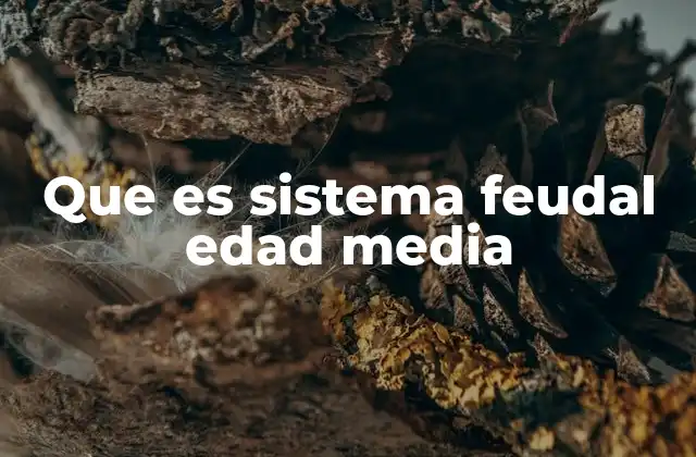Que es Sistema Feudal Edad Media