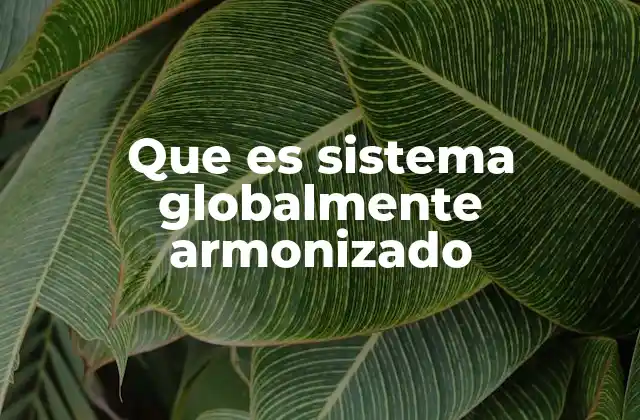 Que es Sistema Globalmente Armonizado