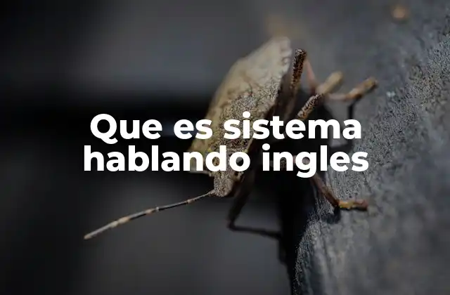 Que es Sistema Hablando Ingles