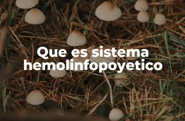 Que es Sistema Hemolinfopoyetico