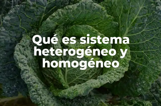 Qué es Sistema Heterogéneo y Homogéneo