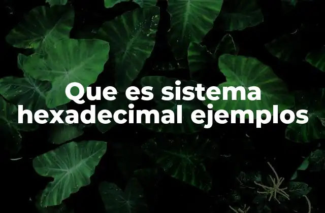 Que es Sistema Hexadecimal Ejemplos
